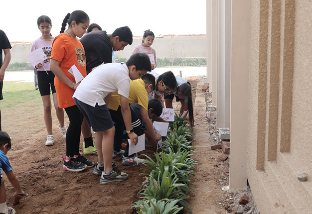 Adventure Activities